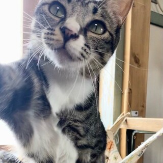 お茶目な天然「ビープン」ちゃん❤