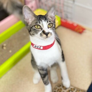 「面談予定」女子力高めの「みそら」ちゃん❤