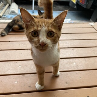 可愛い3兄弟