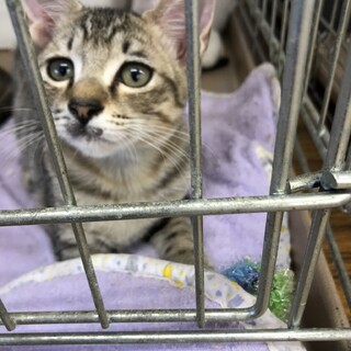 やんちゃ坊主の秀くん