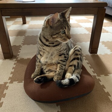 おっさん