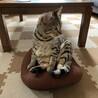 おっさん