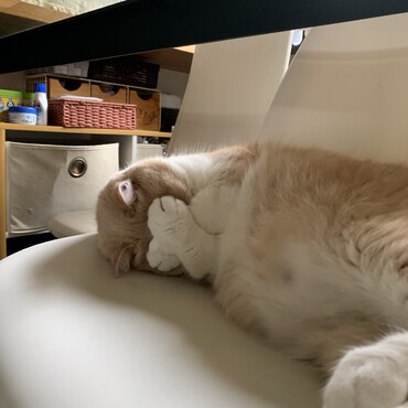 恥ずかしい