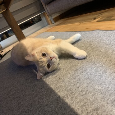 とにかく寝てばかりなんです