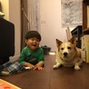 みいみいみいた