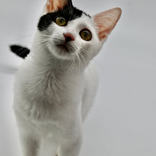 タカナちゃん！