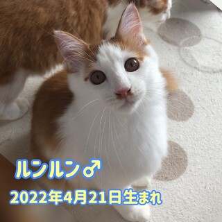 ♡ルンルン♡
