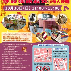 第２１回保護猫譲渡会in帝人会館