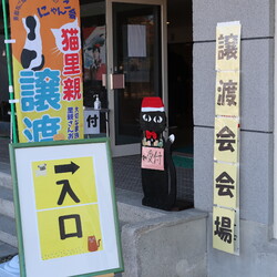 第２１回保護猫譲渡会in帝人会館 サムネイル2