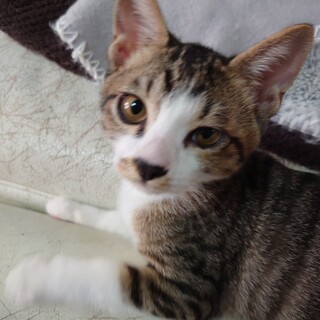 穏やかで甘えん坊★ことねちゃん★そう君と一緒に