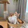 すぐに仲良くなったチビ太とむぎ