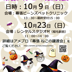 千葉市「 幕張 ねこの譲渡会」動物病院で開催です