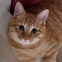 タイムリミット有　大地くん２才