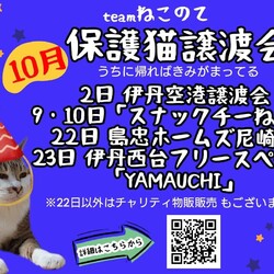 ふれあえる譲渡会