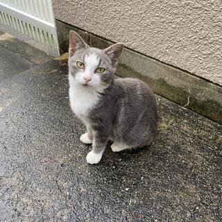 幸せになってね