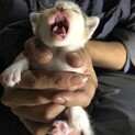 ありがとうございました！