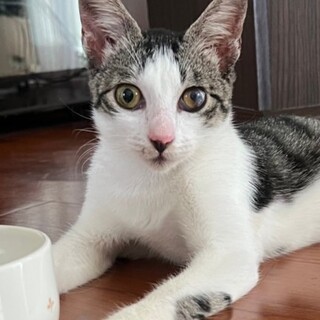 ワクチン&検査済み♪甘えんぼガール