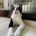 穏やかで優しい男の子♡
