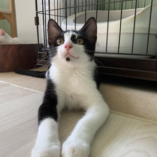 穏やかで優しい男の子♡