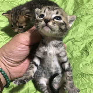 ありがとうございました！