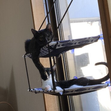 の写真