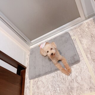 ❤︎甘えん坊すぎる11歳❤︎