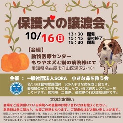 名古屋市守山区：保護犬の譲渡会 サムネイル1