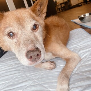 そっと近くにいるどんべえくん♡