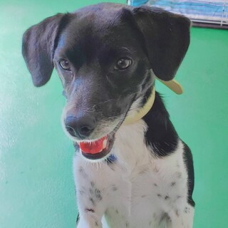 ありがとうございました！