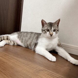 ずっと抱っこできちゃうでっかい赤ちゃん❤︎