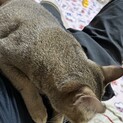 その他備考 詳細を変更致しました確認お願い致します