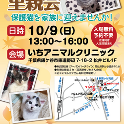 ふくねこや。。neko部　保護ねこ里親会