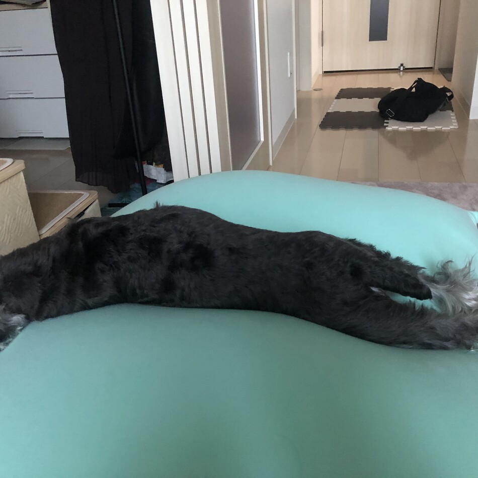 モナのカバー写真