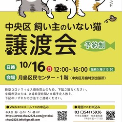 (予約制)中央区飼い主のいない猫譲渡会