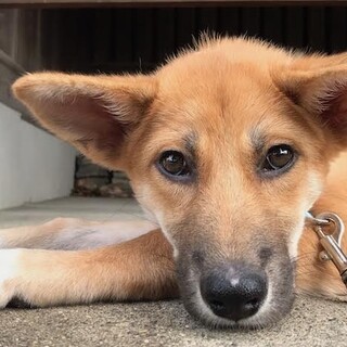 『ふみ』女の子