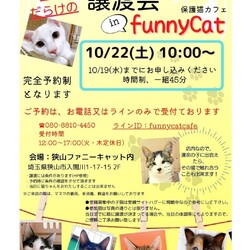 子猫だらけの譲渡会★