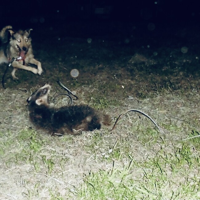 Hiroron247のカバー写真
