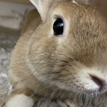 の写真