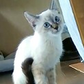 家族が決まりました☺︎