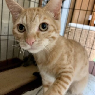 仲良し俊くん☆健ちゃん