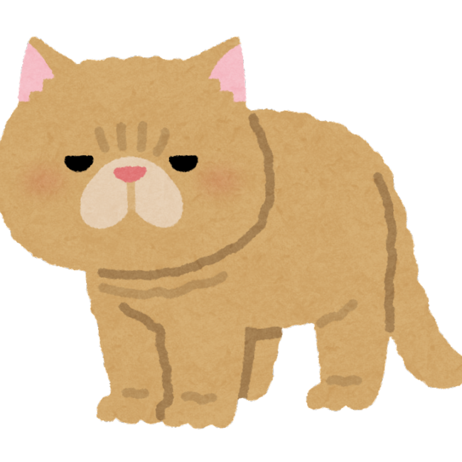 プルメディアのカバー写真