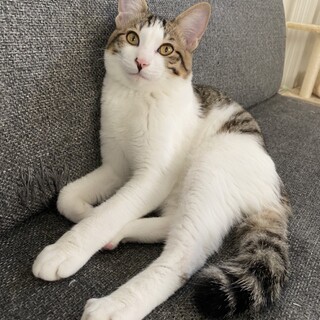 乳飲み子から育てましたノアです！