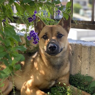 6兄弟でした！モカちゃん