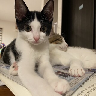 元気いっぱい！あめ君