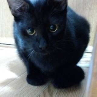 甘えん坊な男の子