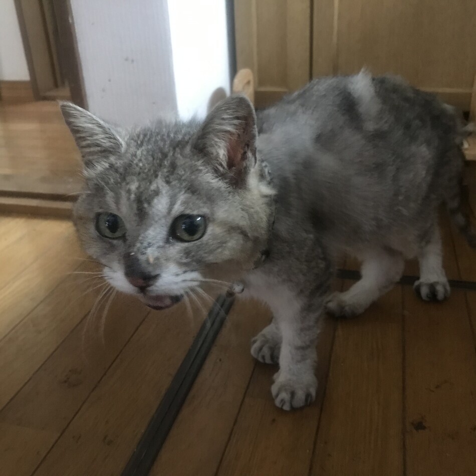 おいんくのカバー写真
