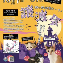 猫の譲渡会＠猫の保健室Mucho
