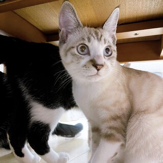 10/9稲毛海岸ෆ⃛大和撫子女子ෆ⃛シュガー嬢