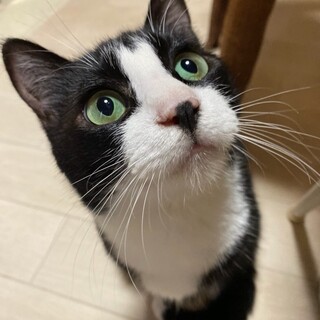 ふじびたいの甘えん坊