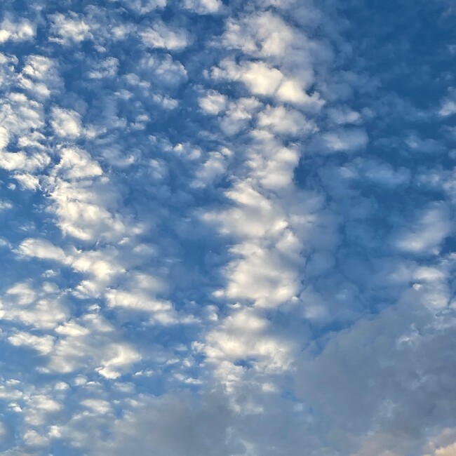 大納言１１０のカバー写真